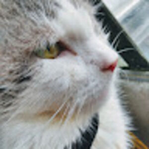 Meet your Posher, Tressa